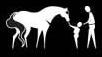 American Youth Horse Council Logo