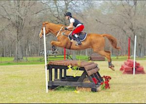 Cover photo for Franklin County Horse Farm Tour, August 3