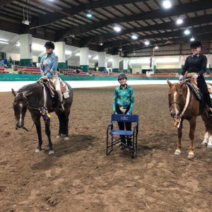 Cover photo for July 2018 N.C. 4-H Horse Program Newsletter