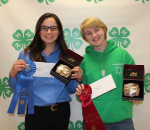 Cover photo for 2019 N.C. 4-H Hippology and Horsebowl Champions Crowned