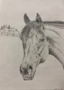 Drawing of a horse