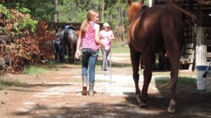 Image of girl with horse