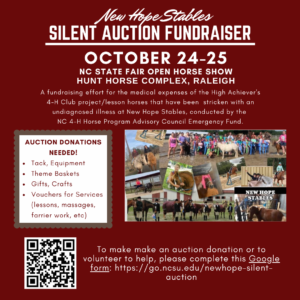 Cover photo for NC 4-H Horse Program Emergency Fund Silent Auction