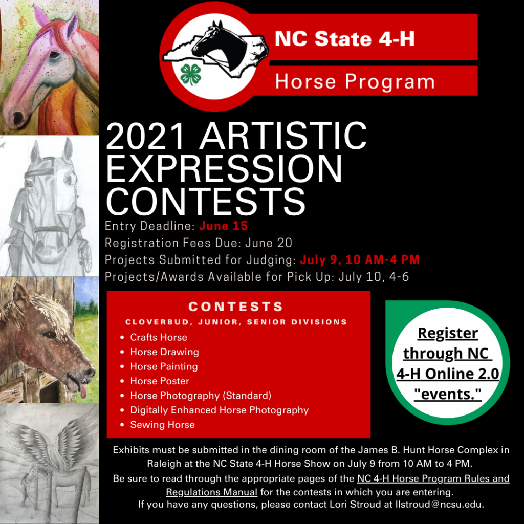 21 Nc 4 H Horse Program Artistic Expression And Creative Writing Contests Nc State Extension