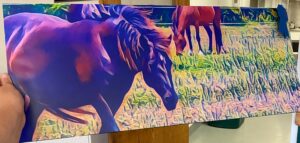 A horse in a field with artistic stylings of colors.