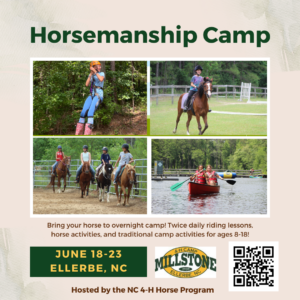 Horsemanship Camp