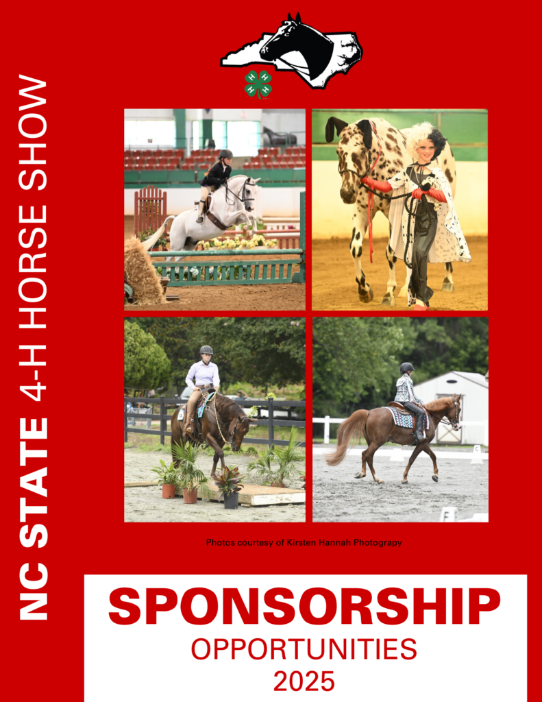 Sponsorship Opportunities