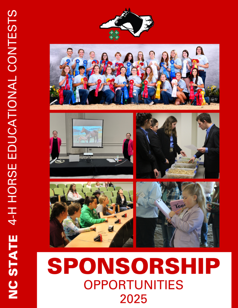 Sponsorship Opportunities 2025